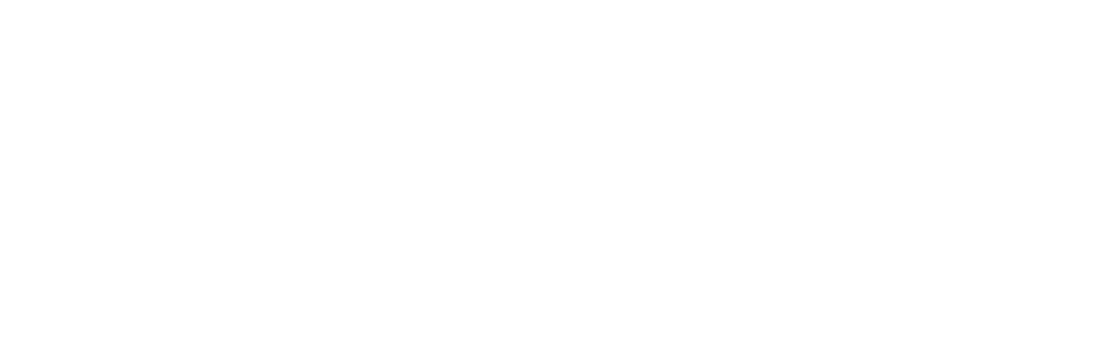The Fastline Group